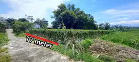 JUAL TANAH SAWAH PRODUKTIF GONDANG TALUN BLITAR