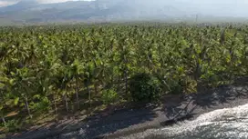 Leasehold - Exclusive Beachfront Land in Tejakula, Buleleng