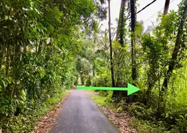 Dijual tanah komersil lokasi payangan ubud