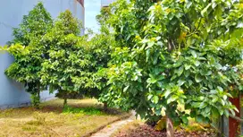 Tanah 200 m2 SHM di Villa Permata Gading, Kelapa Gading