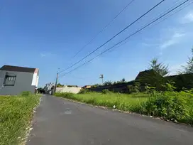 Jual Murah Tanah Dalam Ringroad, Jambon Trihanggo Sleman