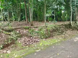 TANAH DIJUAL DEKAT BOBOTSARI PURBALINGGA, jual tanah dekat bobotsari