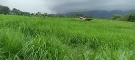 di jual tanah kebun view gunung di Cicurug sukabumi