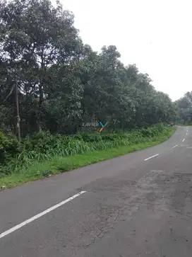 Dijual Tanah di Poros Jl. Raya Ngembal, Tutur Nongkojajar, Pasuruan