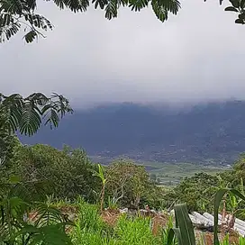 dijual tanah view danau pancasari