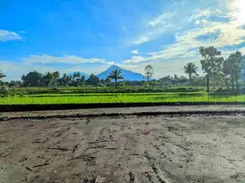 Tanah Langka Tepi Sawah View Merapi, Tanah Jalan Palagan