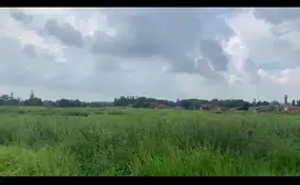 Turun Harga dijual cepat tanah luas di karawang timur