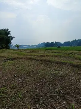 Tanah ngantong bawa hoki cocok utk Villa di Pacet
