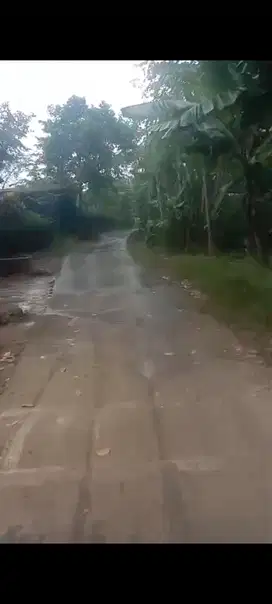dijual tanah murah di Parung Bogor