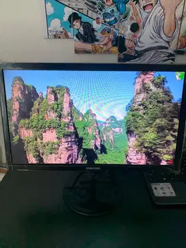 MONITOR SAMSUNG 19 inc