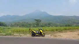 XMAX KUNING 2018