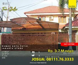 Rumah Kayu Putih 2 Lantai, LT 160 m2, Jalan 2 Mobil, Hook, Bagus