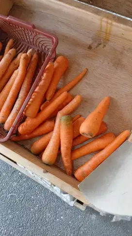 Lowongan kerja di warung sayur