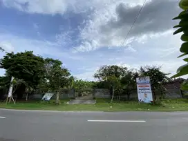 Investasi Tanah di Tegal Badeng Barat, Jembrana