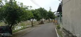 tanah kering blkg hotrl alana