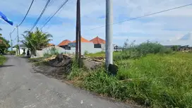 Tanah Komersil Lokasi Cemagi 800 Meter Ke Pantai Bali