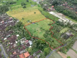 Disewakan tanah daerah pejeng kaja