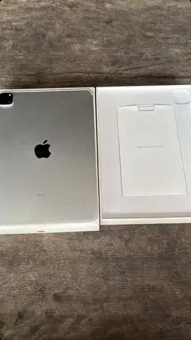 ipad pro m1 256gb 2021