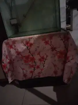 Aquarium second bagus