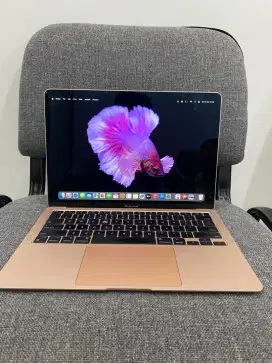 MacBook Air M1 2020 16/1 TB