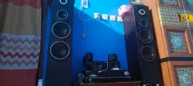 Home theateer polytron