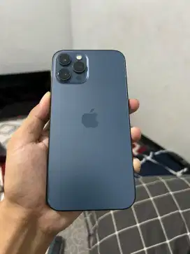 Iphone 12 Pro Max 256 GB Siera Blue