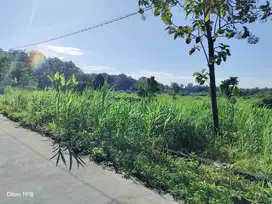 Tanah view sawah tinggal balik nama akses mobil lanca
