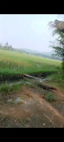 Tanah View Sawah dan Perbukitan Menoreh dekat Bandara YIA