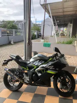 Ninja 250 SL 2019