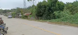 Bismillah Tanah IKN, 5 Menit menuju Istana Presiden 70x75