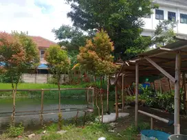 Dijual Cepat Tanah