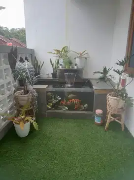 Kolam minimalis