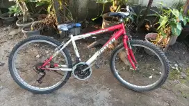 Sepeda united Dallas siap gowes