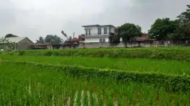 Tanah sawah produktif sangat strategis nempel jalan raya