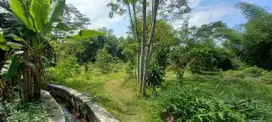 JUAL MURAH TANAH SAWAH GLAGAH OMBO TALUN BLITAR