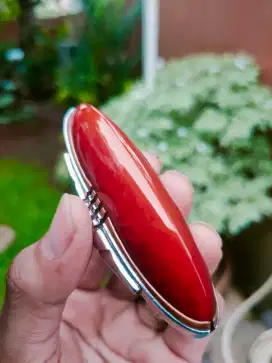 Jual batu pandan merah ukuran jumbo ring 8