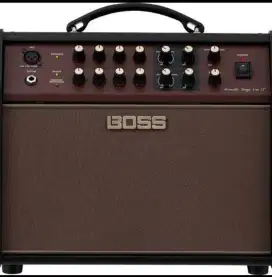 Guitar Amplifier Boss Combo 60W, 2-Ch f/Acoustic, ACS-LIVELT