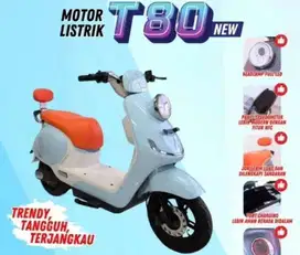 Motor listrik u winfly