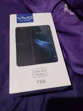 Vivo y 66 ram 4/64 GB
