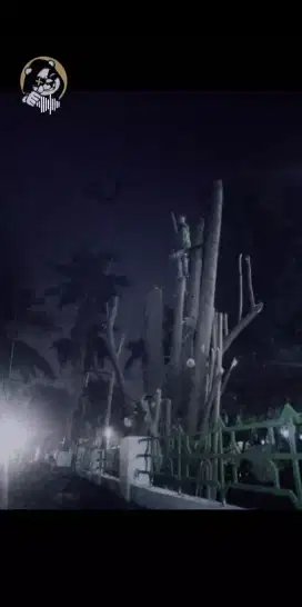 *Menerima Jasa tebang dan pangkas pohon se-Jakarta timur.*