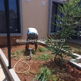 Taman kering - pembuatan taman kering minimalis - taman jepang