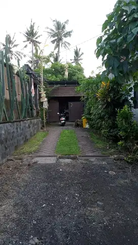 DISEWAKAN VILLA MEWAH NYAMAN BADUNG BALI