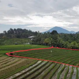 Di Jual Tanah deket exit Tol Antosari