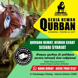 Jual hewan qurban