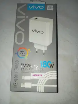 Charger Vivo V25 Pro 180 Watt Micro