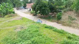 Dijual Tanah di Dangdang, Cisauk - Tangerang.