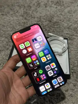 Iphone 13 Pro 256 GB