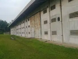 Disewakan Pabrik Jln Cikarang Cibarusah Siap Pakai