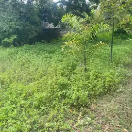 Dijual Tanah dan Bangunan di Nganjuk, Jawa Timur