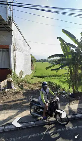 Raya udayana negara bali